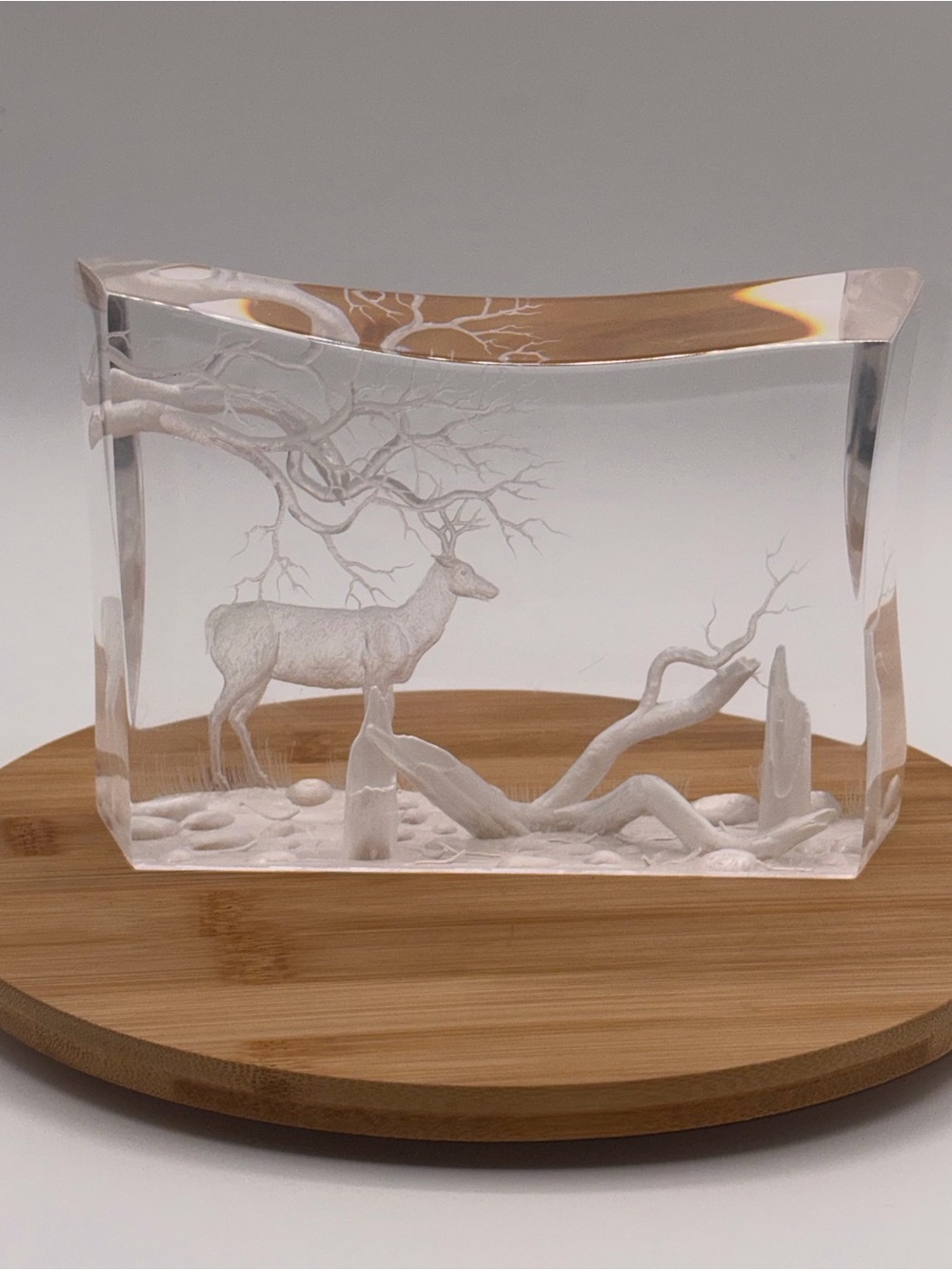 1996 Lucite Deer Scene Diorama -Mike Stegeman Handmade Reverse Carved And Signed